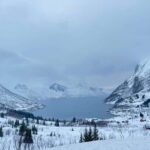 Tromsø Half-Day Tour: Fjords & Sommarøy Adventure - Visiting Eide Handel: Authentic Norwegian Culture