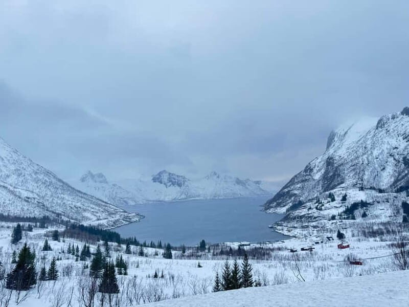 Tromsø Half-Day Tour: Fjords & Sommarøy Adventure - Visiting Eide Handel: Authentic Norwegian Culture