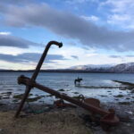 Tromsø: Horseback Riding Tour vinter/summer - Who Will Love This Tour?