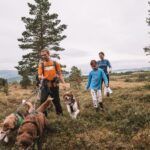 Tromsø: Husky Hike and Puppy Visit with Traditional Lunch - What We Loved and What to Consider