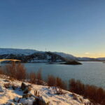 Tromsø: Island of Kvaløya Scenic Sightseeing Minibus Tour - The Experience: What It Feels Like