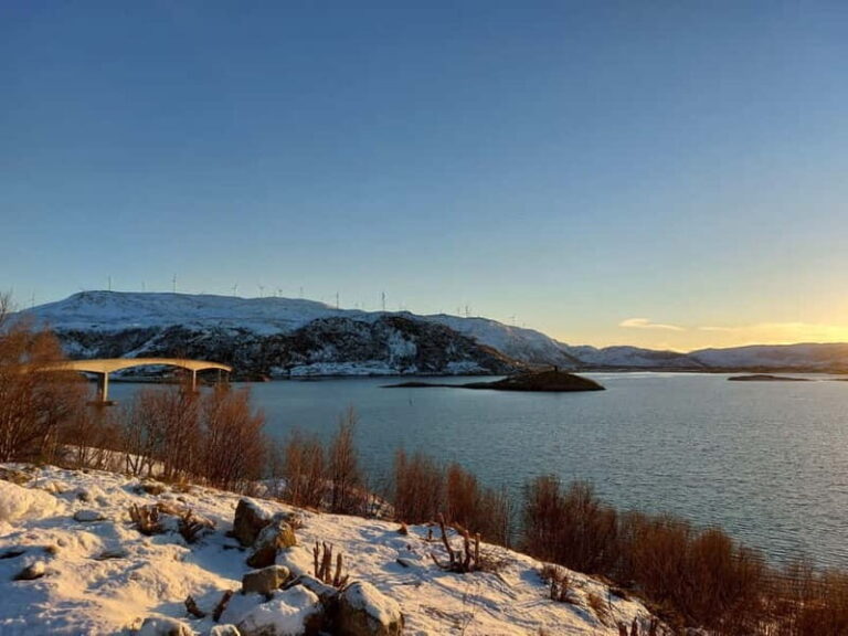 Tromsø: Island of Kvaløya Scenic Sightseeing Minibus Tour - The Experience: What It Feels Like