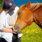 Tromsø: Lyngen Horse Summer Evening Riding Experience - The Scenic Highlights and Photo Opportunities