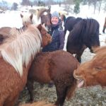 Tromsø: Lyngen Horse Winter Riding Experience - What’s Included and What’s Not