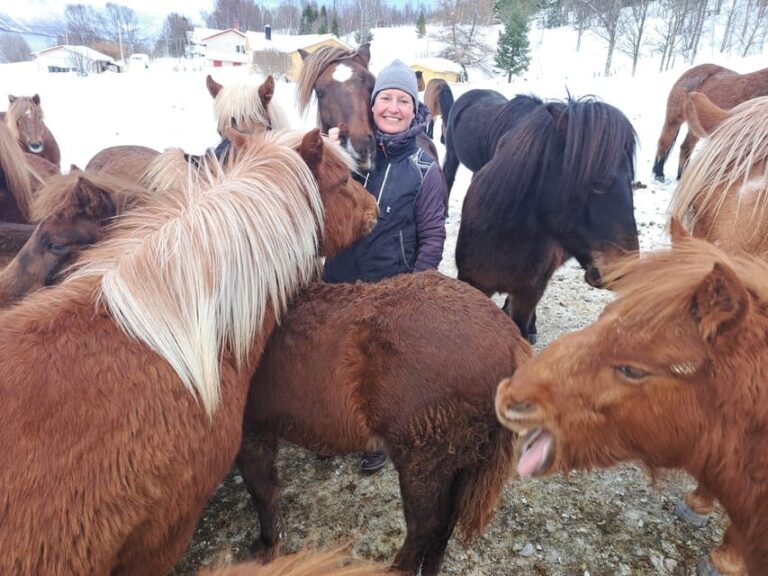 Tromsø: Lyngen Horse Winter Riding Experience - What’s Included and What’s Not