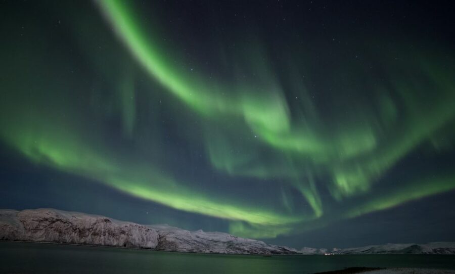 Tromsø: Northern Lights Guided Bus Tour - Who Should Consider This Tour?