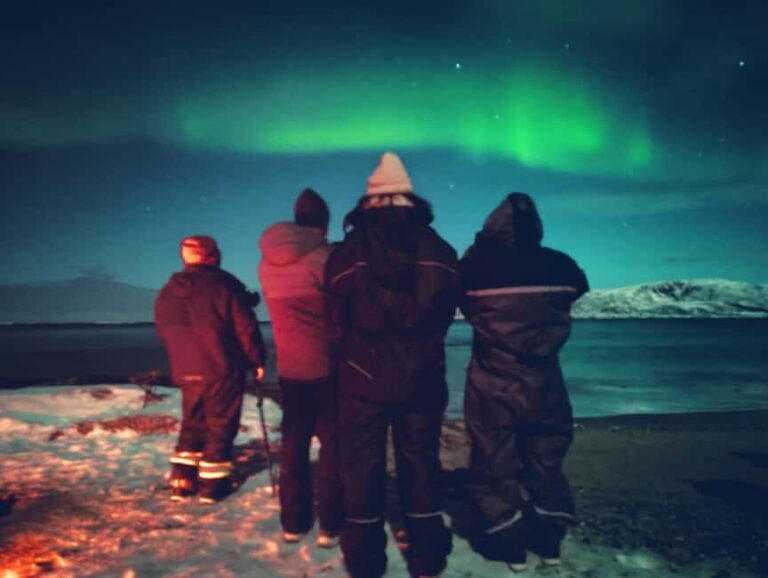Tromsø: Northern Lights Guided Tour with Bonfire and Snacks - The Experience Provider