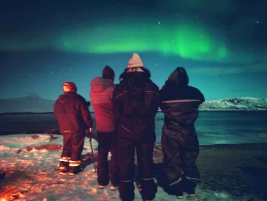 Tromsø: Northern Lights Guided Tour with Bonfire and Snacks - The Experience Provider