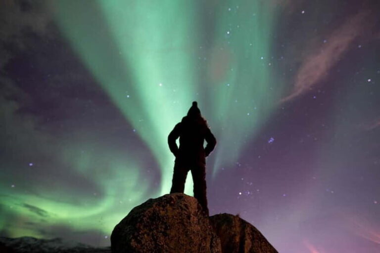 Tromsø: Northern Lights Hunt in French with Photographer - Practical Considerations and Value