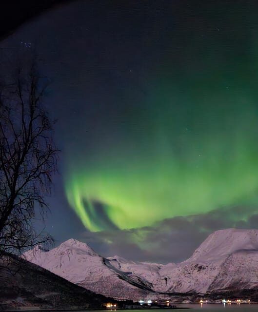Tromsø: Northern Lights Hunt. Local Guide, Private Basecamp. - Practical Information for Potential Travelers