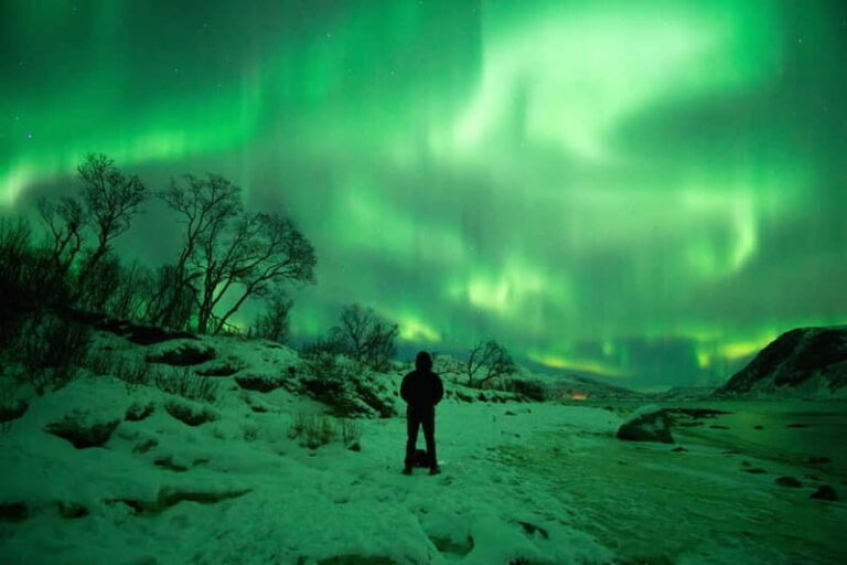 Tromsø: Northern Lights Hunt with Professional Photographer in Spanish - Who Will Love This Tour?