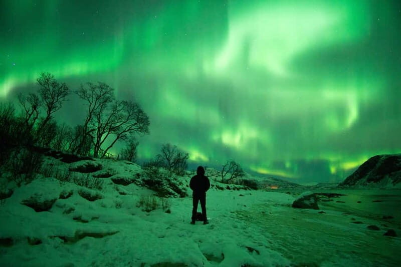 Tromsø: Northern Lights Hunt with Professional Photographer in Spanish - Who Will Love This Tour?