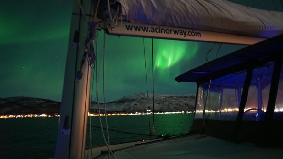 Tromsø: Northern Lights Luxury Catamaran Cruise - What’s Included and What to Keep in Mind