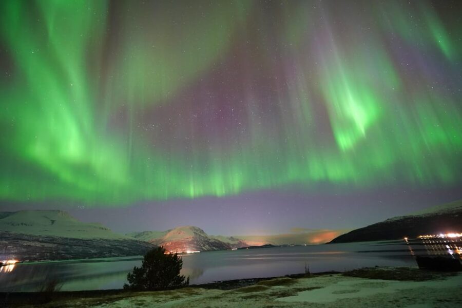 Tromso: Northern Lights Minibus Tour with Campfire - Who Is This Tour Best For?