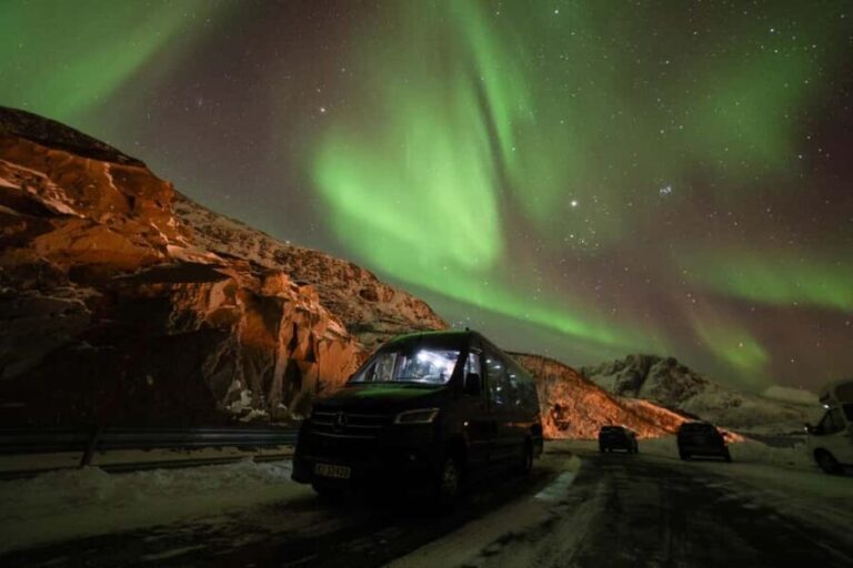 Tromsø: Northern Lights tour, local experts, free photos - What to Expect on the Day