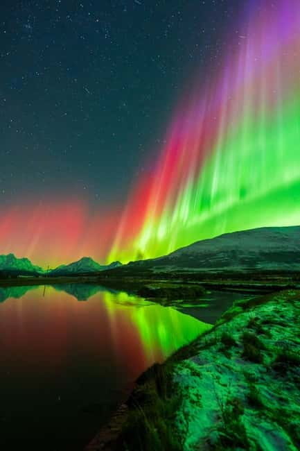 Tromsø: Northern Lights Tour with Campfire - The Value and Practicalities