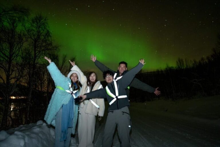 Tromsø: Northern Lights Tour with Local Guide and Photos - The Experience in a Nutshell