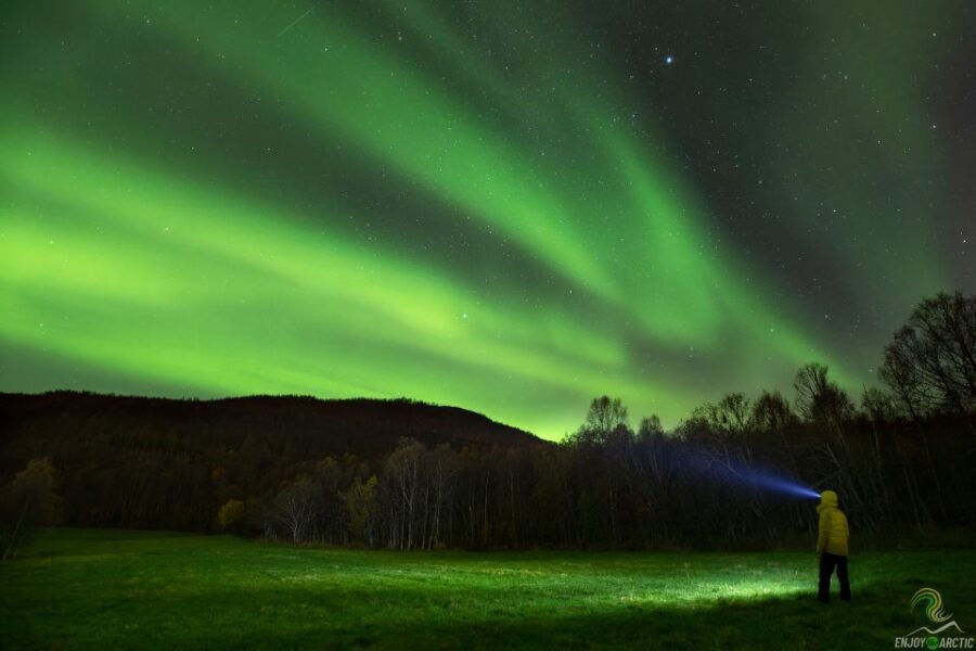 Tromsø: Northern Lights Trip with Campfire and Snacks - The Sum Up: Who Should Book This Tour?