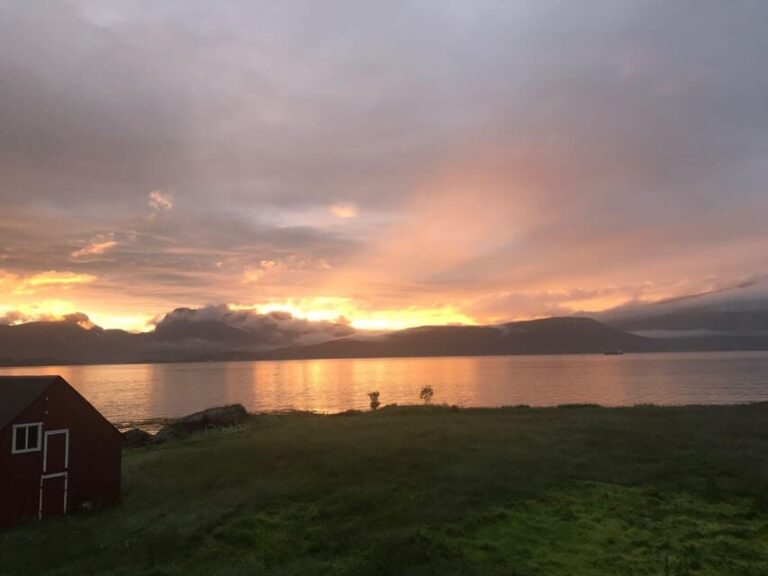 Tromsø: Norwegian farmvisit with guide - Why it’s worth considering