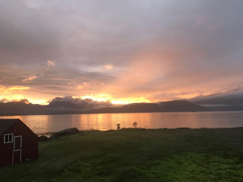Tromsø: Norwegian farmvisit with guide - Why it’s worth considering