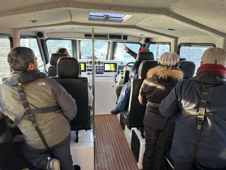 Tromsø: Orca and Whale Watching comfort heated boat Trip - The Value of This Tour