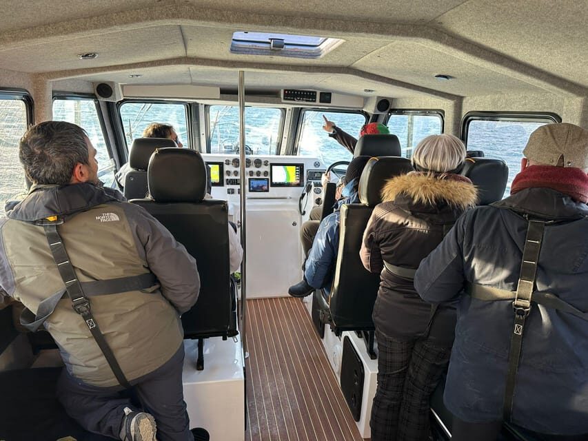 Tromsø: Orca and Whale Watching comfort heated boat Trip - The Value of This Tour
