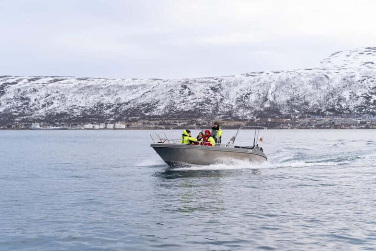 Tromsø: Private Fjord Boat Tour Around the City - Analyzing the Value & Practical Details
