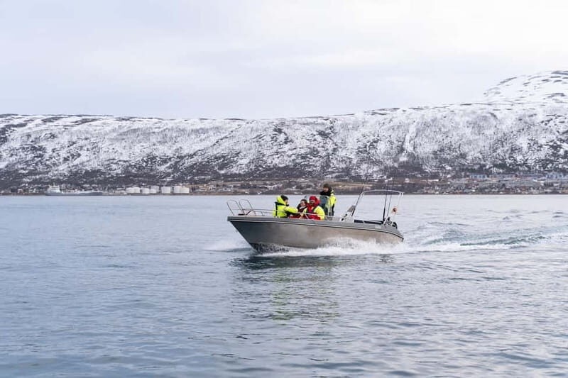 Tromsø: Private Fjord Boat Tour Around the City - Analyzing the Value & Practical Details