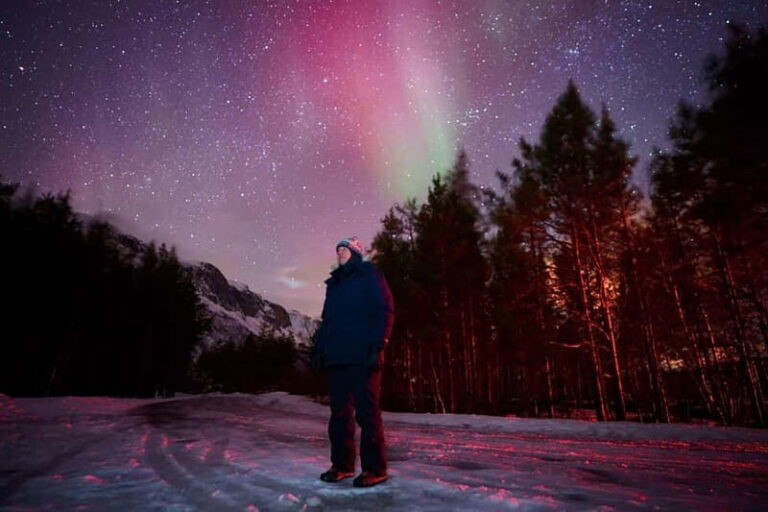 Tromsø: Private Northern Lights Tour with Pro Photographer - Whats the Real Value?