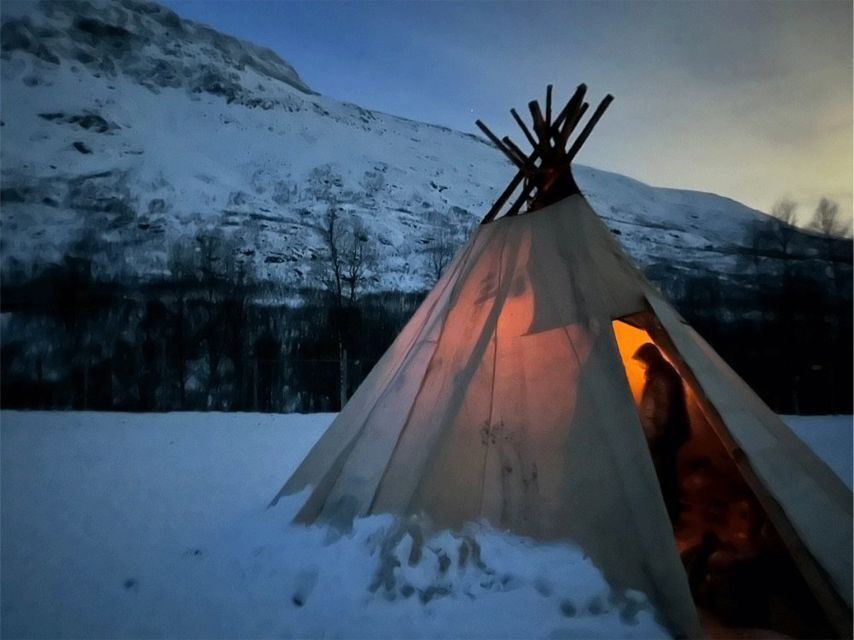 Tromsø: Reindeer Experience at a Sami Camp - What We Love About This Tour