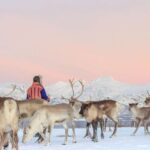 Tromsø: Reindeer Ranch and Sami Cultural Tour with Lunch - The Itinerary and Experience Breakdown