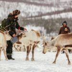 Tromsø: Reindeer Sledding & Feeding with a Sami Guide - A Detailed Look at the Experience