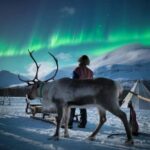 Tromsø: Sami Culture, Northern Lights and Reindeer Feeding - Detailed Breakdown of the Experience
