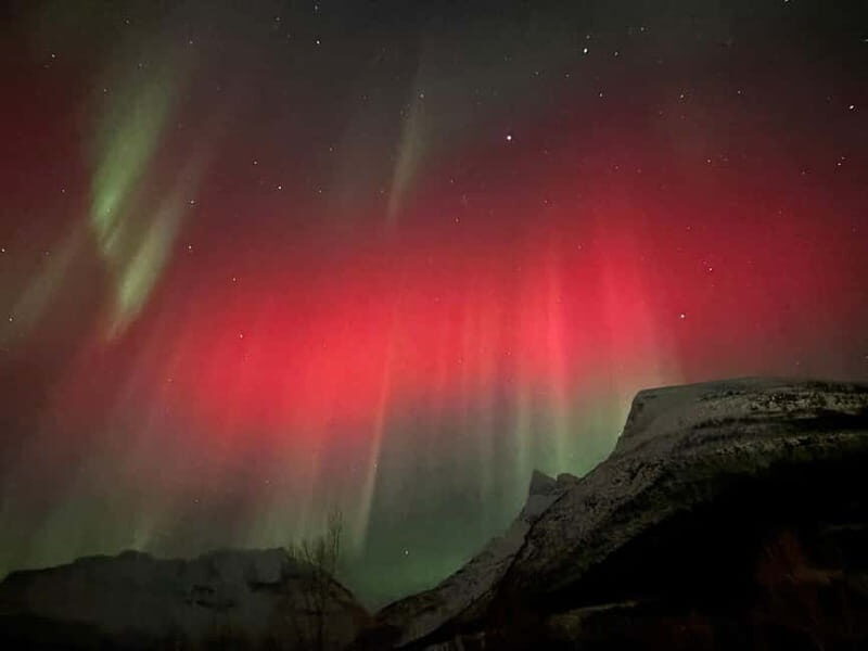 Tromsø/Skibotn: Daytime Sami Culture, Joik & reindeers - What to Expect from the Tour