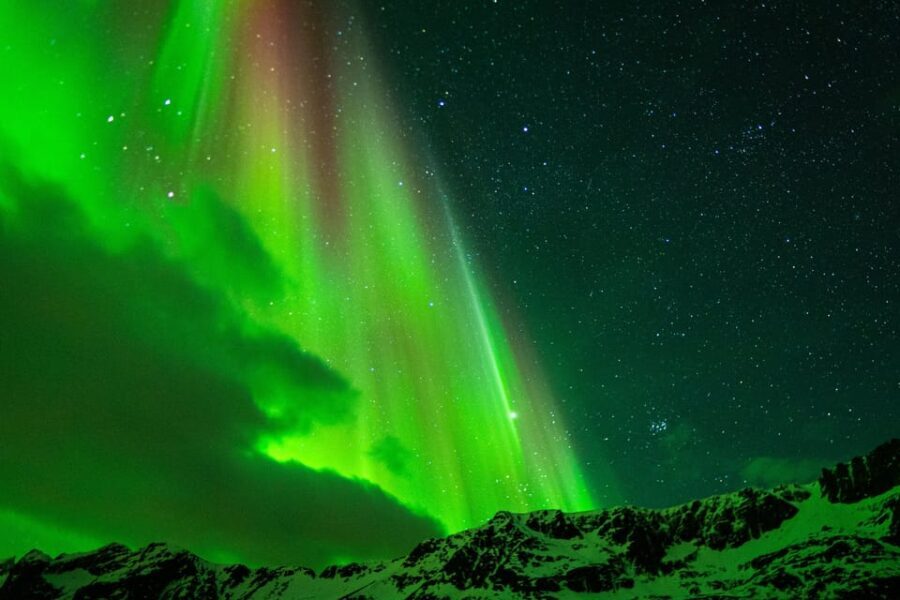 Tromsø: Small-Group Adventurous Northern Lights Hunt - Who Will Love This Tour?