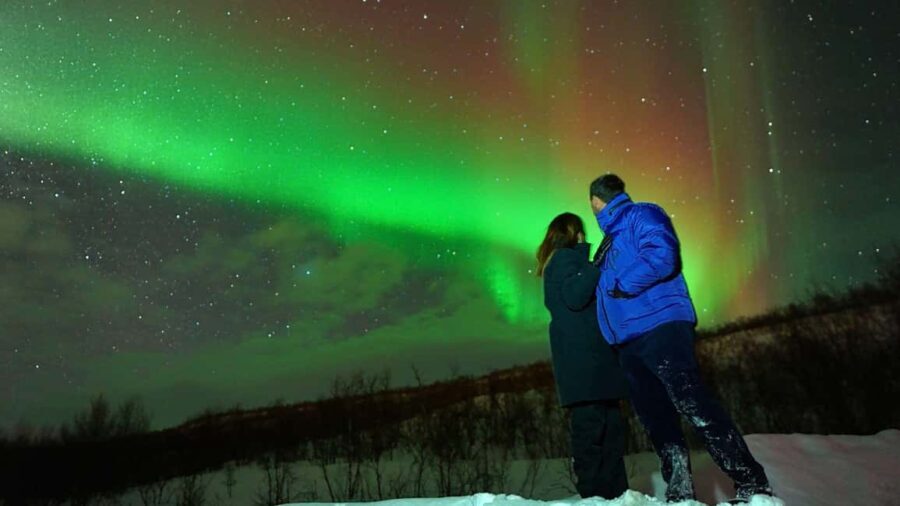 Tromsø: Small-Group Aurora Tour with Free Photos (8 Hours) - What Makes This Tour Stand Out?