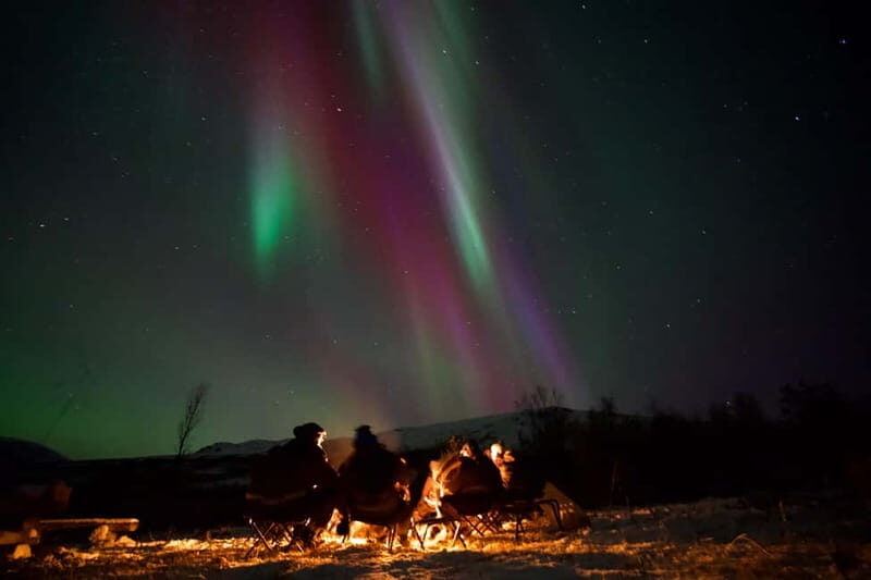 Tromsø: Small-Group Northern Lights Tour by Minibus - Why This Tour Stands Out