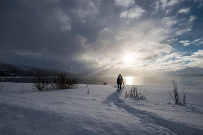 Tromsø: Snowshoe Hike to Lyngstuva Lighthouse with Lunch - Who Should Consider This Tour?