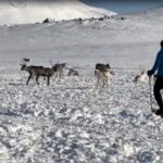 Tromsø: Snowshoeing with Reindeer - Who should consider this tour