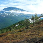 Tromsø Street to Summit: Fløya Mountain Guided Hike - Who Will Love This Experience?