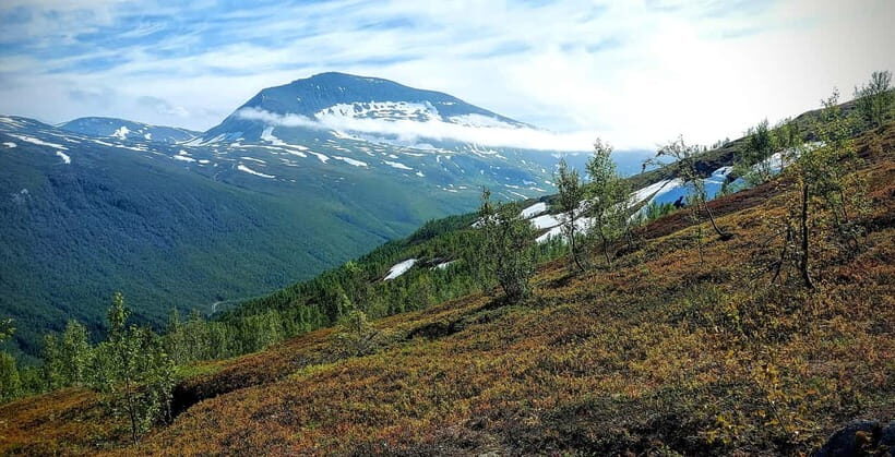 Tromsø Street to Summit: Fløya Mountain Guided Hike - Who Will Love This Experience?