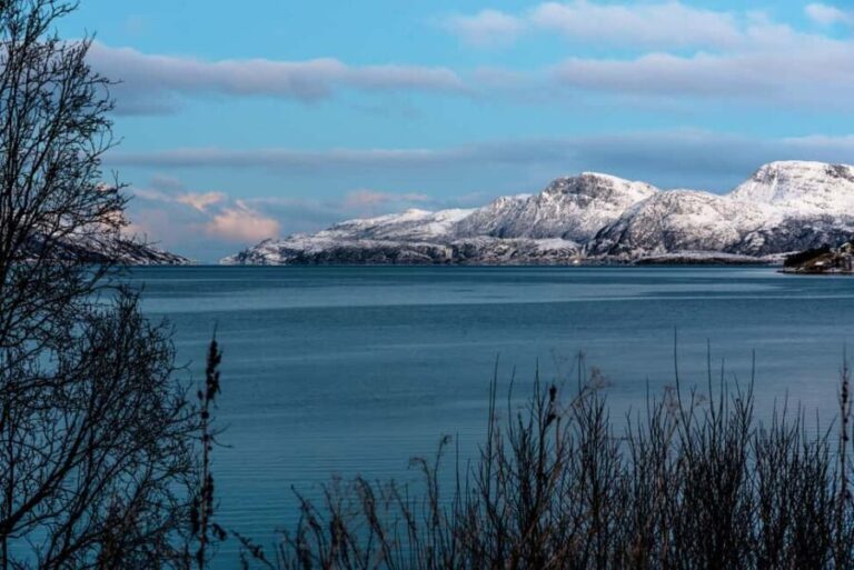 Tromso: Visit 5 Fjords in 4 hours - What Makes This Tour Stand Out?
