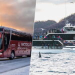 Tromsø: Whale Watching on hybrid boat with scenic bustrip - An In-Depth Look at the Whale Watching Tour in Tromsø