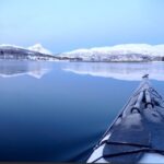 Tromsø: Winter Sea Kayaking Tour with Wildlife Sightings - What Makes This Tour Special?