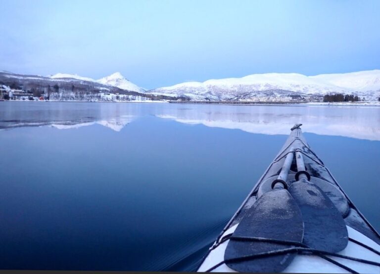 Tromsø: Winter Sea Kayaking Tour with Wildlife Sightings - What Makes This Tour Special?
