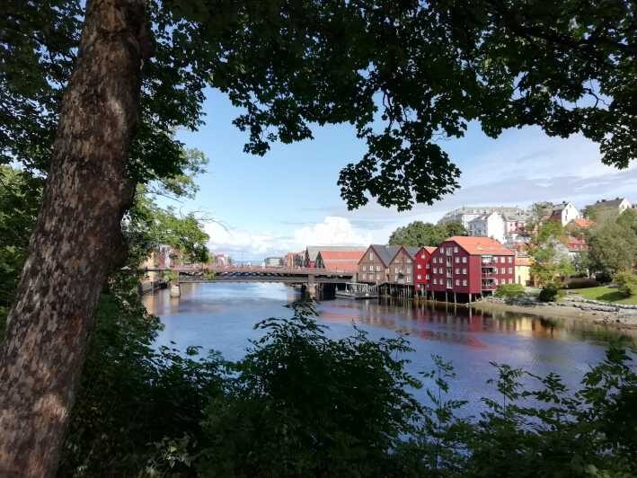 Trondheim : Explore the city of kings with a local guide - A Closer Look at the Tour Itinerary