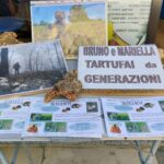 Truffle hunting in the Langhe - Truffle hunting with a real trifulau - Final Thoughts: Is it Worth It?