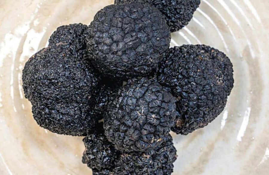 Truffle Tasting & Museum Tour in Umbria, near Perugia - The Itinerary in Detail