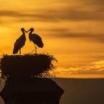 Trujillo :Sunset guided visit "The Sunset Collector". - Final Thoughts