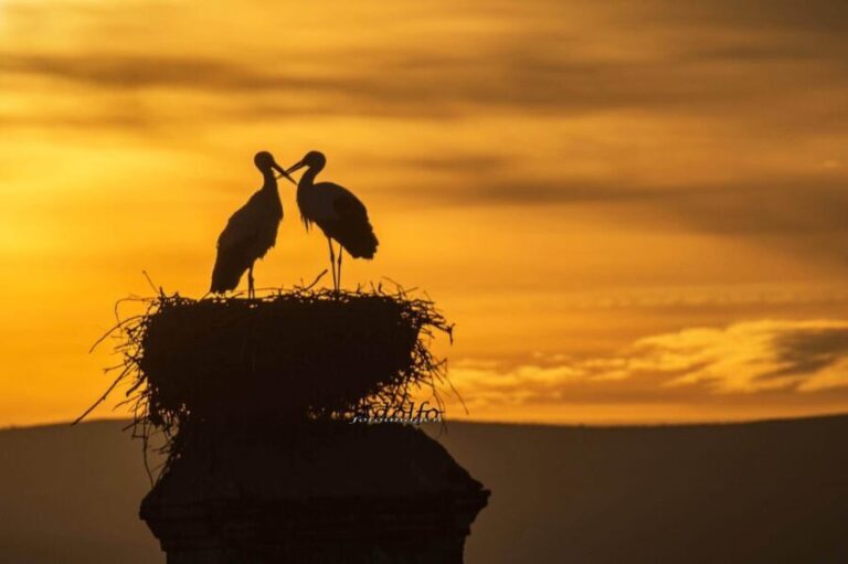 Trujillo :Sunset guided visit "The Sunset Collector". - Final Thoughts